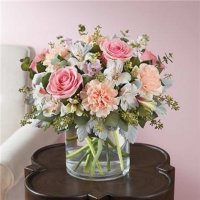 Photo from supplier website