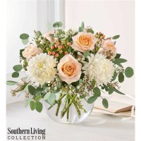 Photo from supplier website