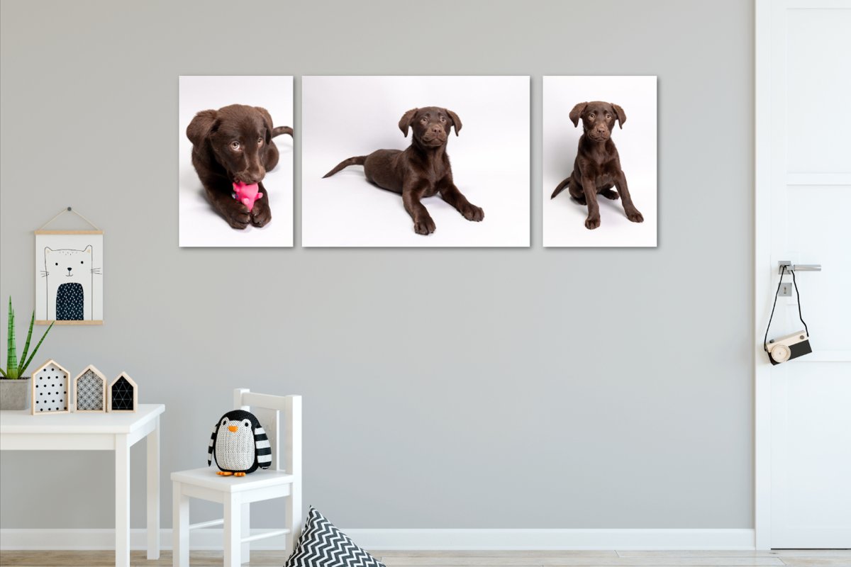 Photo from supplier website