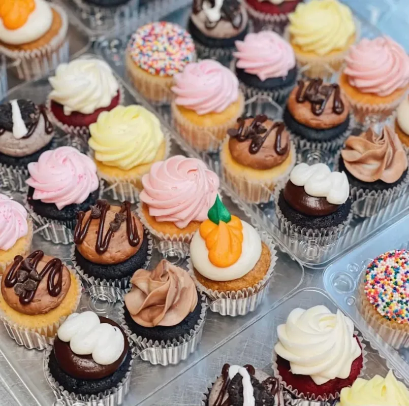 Photo from supplier website