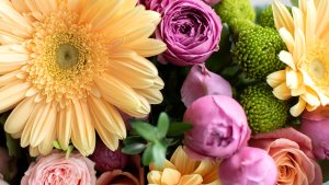 Photo from supplier website