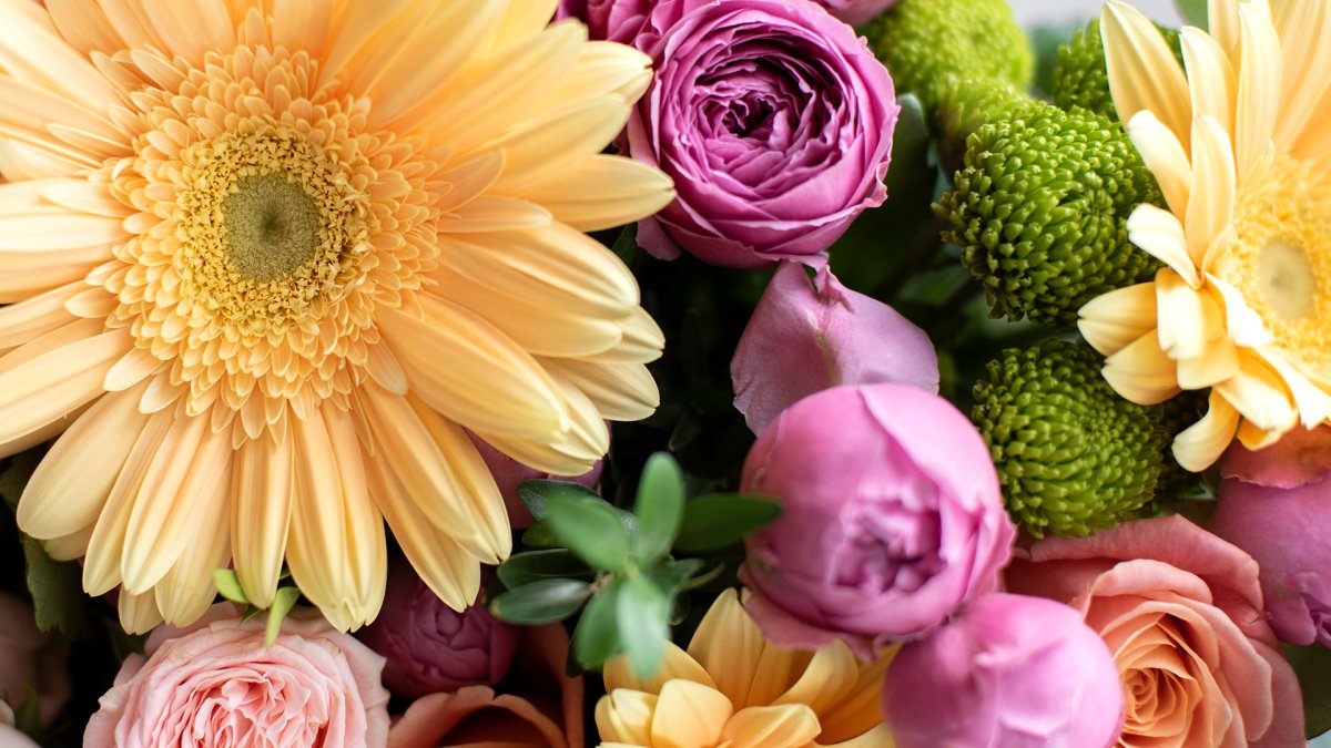 AccyFlor