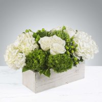 Photo from supplier website