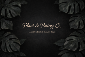 Photo from supplier website