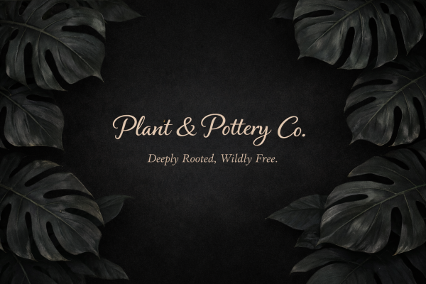 Plant & Pottery Co.