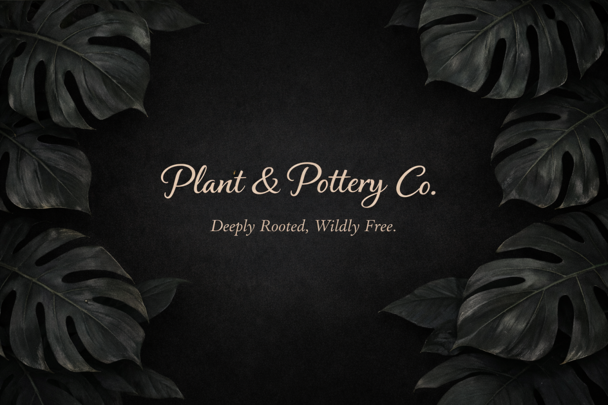 Plant & Pottery Co.