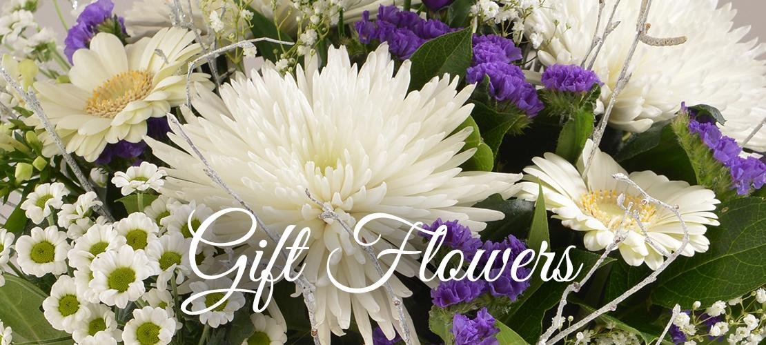 Photo from supplier website