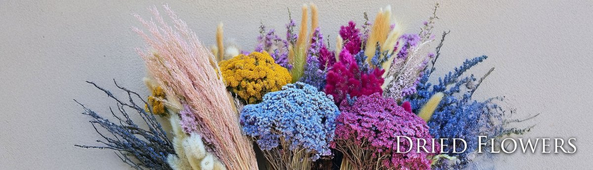 Photo from supplier website