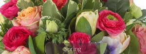 Photo from supplier website