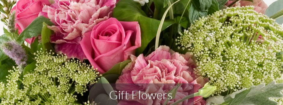 Photo from supplier website