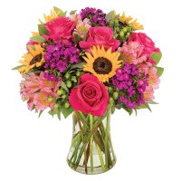 Photo from supplier website
