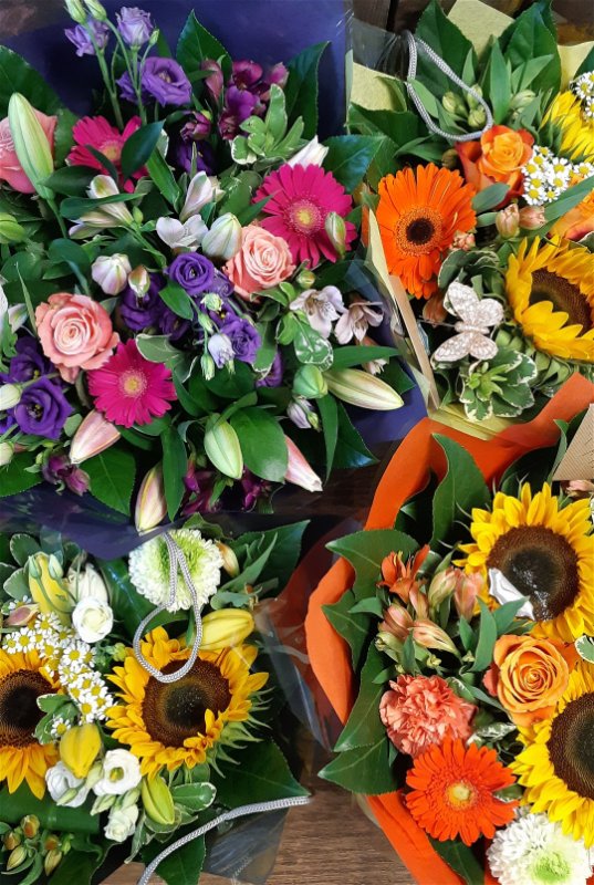 Stems of Beauty Ltd.