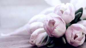Photo from supplier website