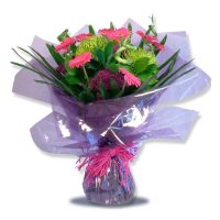 Photo from supplier website