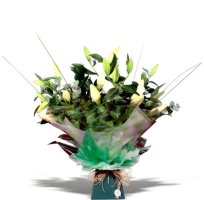 Photo from supplier website