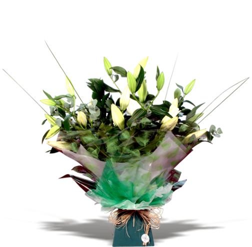 Photo from supplier website