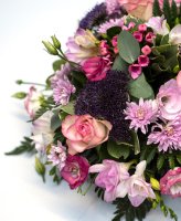 Photo from supplier website