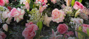 Photo from supplier website