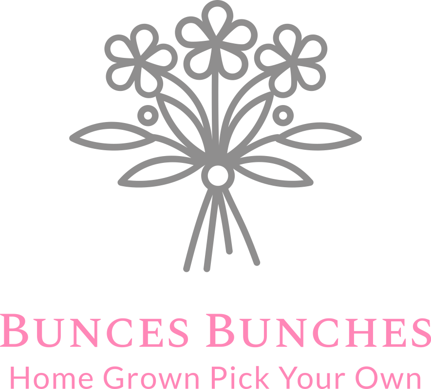 Bunces Bunches