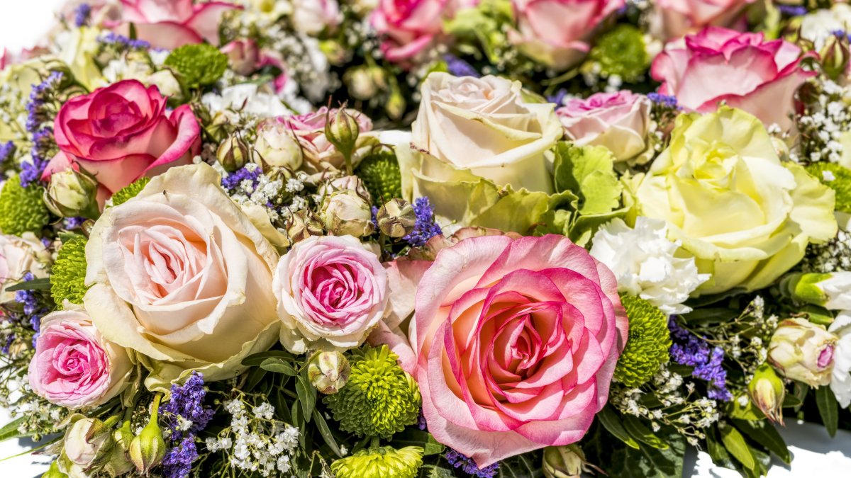 Rose Garden Flowers