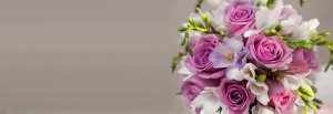 Photo from supplier website