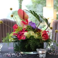 Photo from supplier website