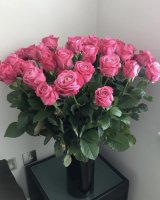 Photo from supplier website