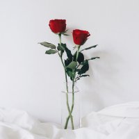 Photo from supplier website