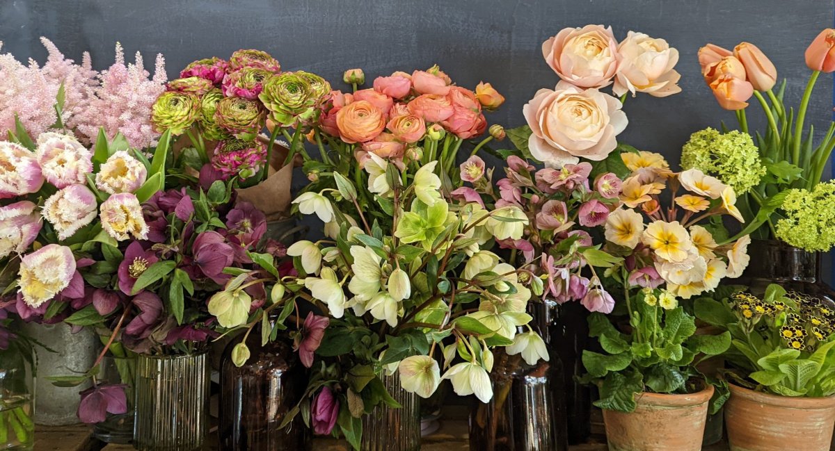 Dansk Flowers
