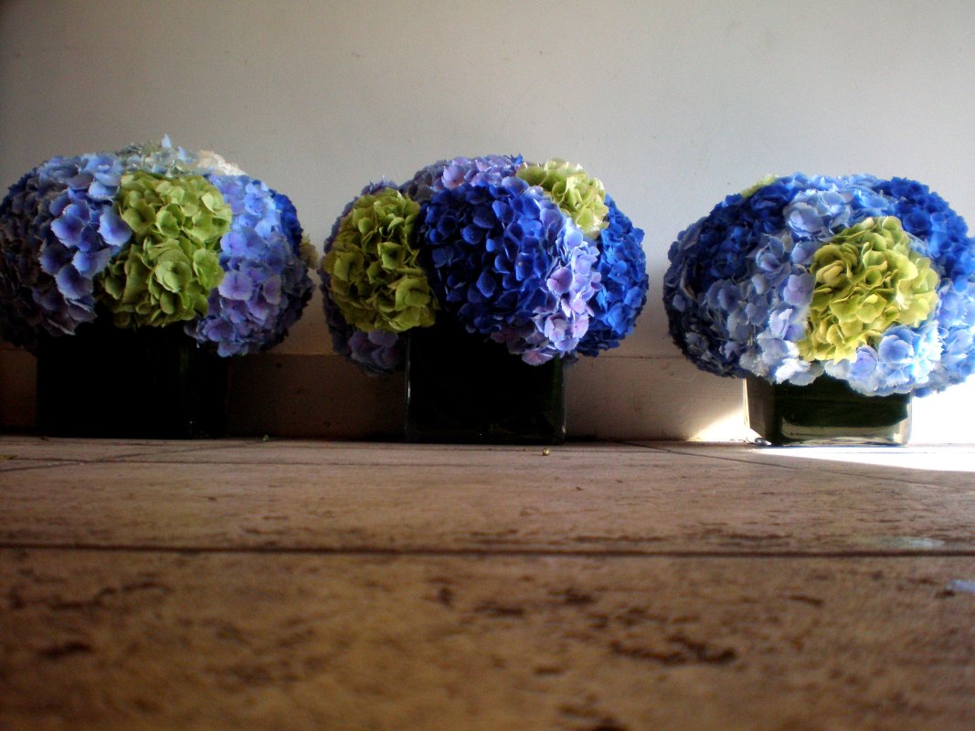Mystique Flowers