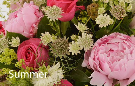 Wells Flowers