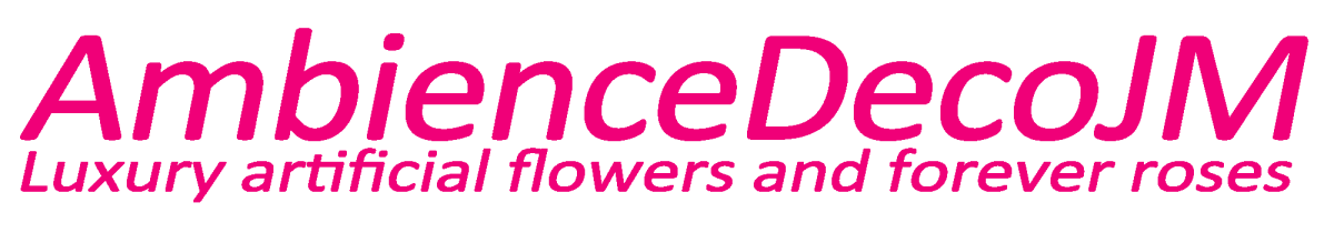 Ambiencedecojm