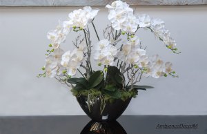 Photo from supplier website