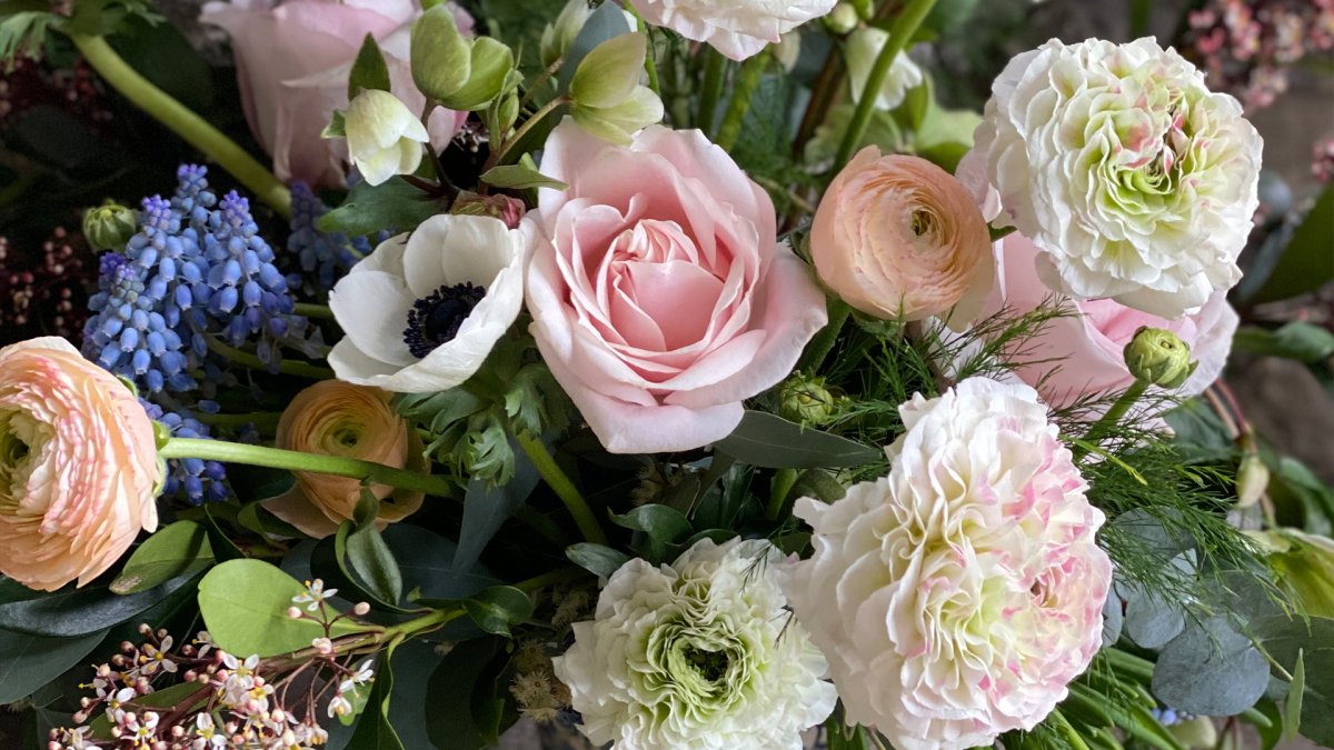 Photo from supplier website