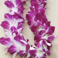 Photo from supplier website