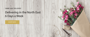 Photo from supplier website