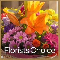 Photo from supplier website