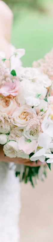 Photo from supplier website