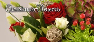 Photo from supplier website