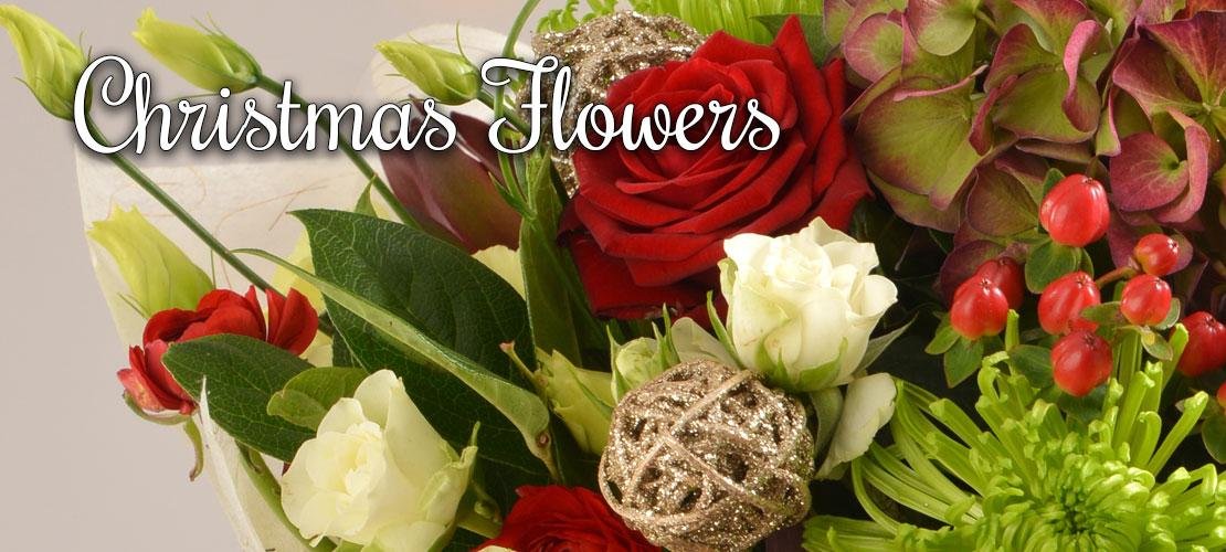 Photo from supplier website
