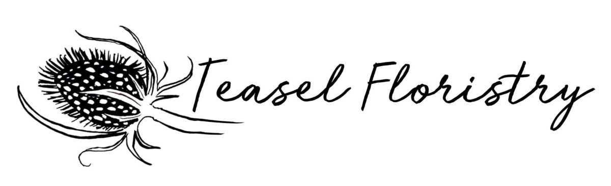 Teasel Floristry