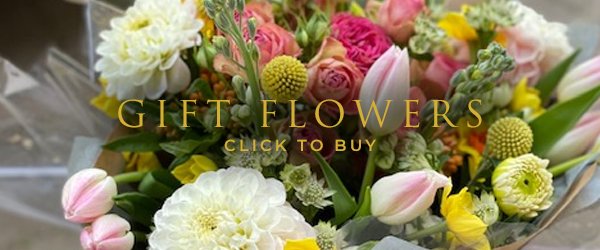 Wild Rose Floral Design