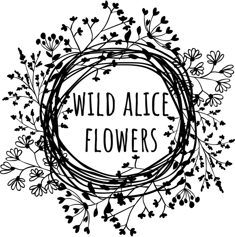 Wild Alice Flowers