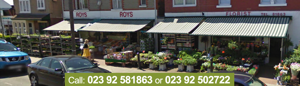 Roys Florist