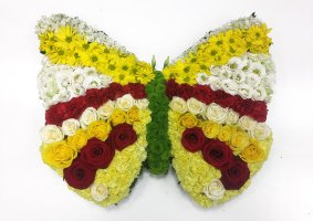 Photo from supplier website