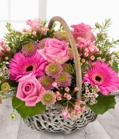 Photo from supplier website
