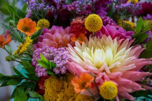 Photo from supplier website