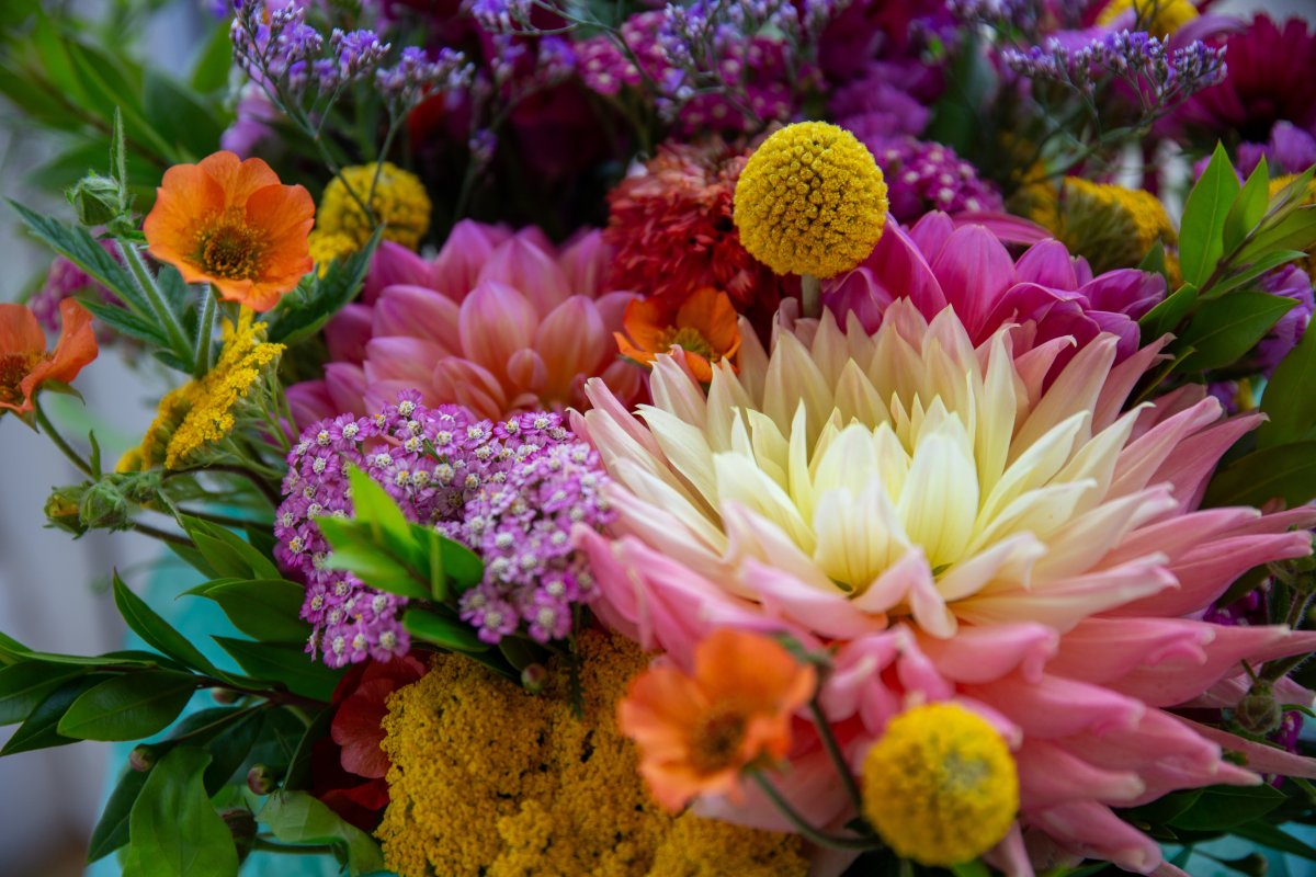 Eveline's Flowers