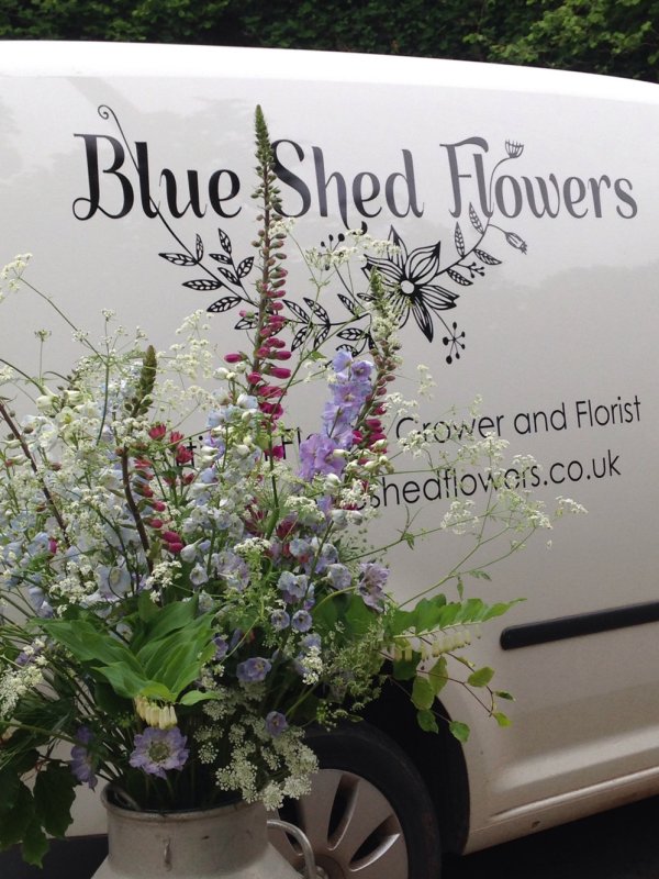 Blue Shed Flowers