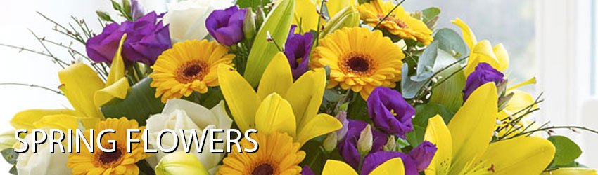 Ferndown Florist